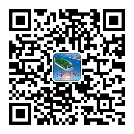 ������΢�Ŷ�ά��