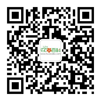 ������ȫ΢�Ŷ�ά��